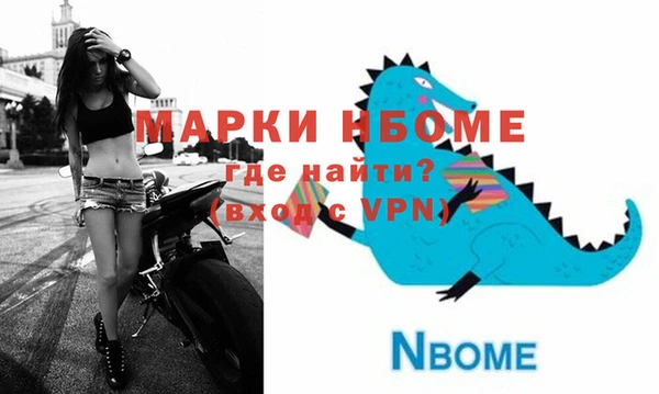 гашик Каменногорск