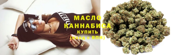 2c-b Каменка