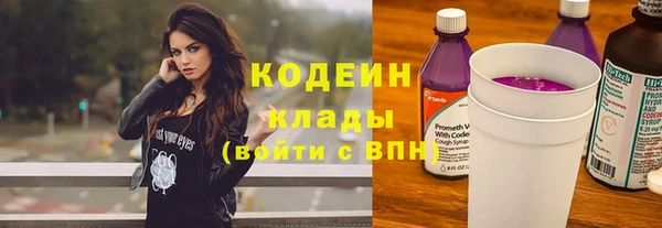 2c-b Каменка