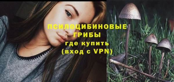 гашик Каменногорск