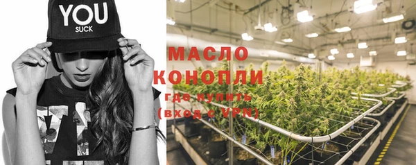 гашик Каменногорск