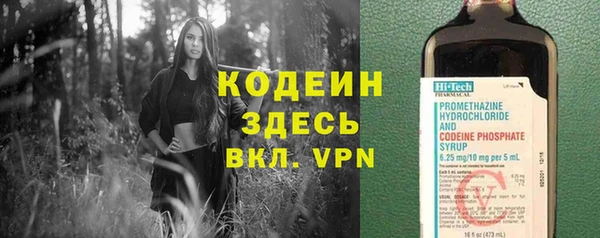 2c-b Каменка