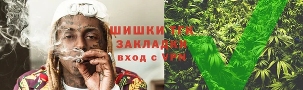 гашик Каменногорск