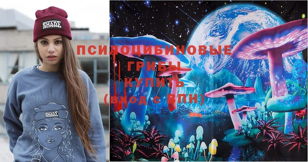 гашик Каменногорск